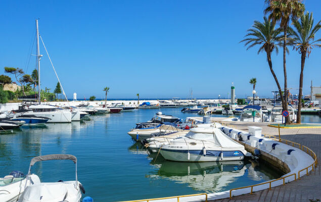 Las Buganvillas - Photo 28