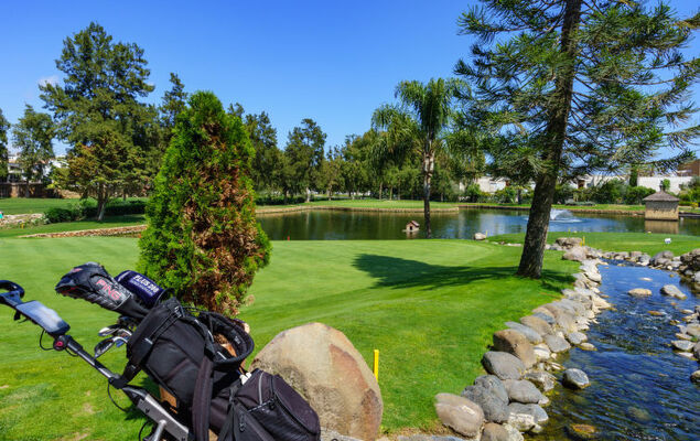 Las Buganvillas - Photo 34