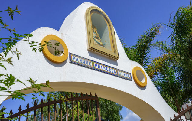 Las Buganvillas - Photo 35