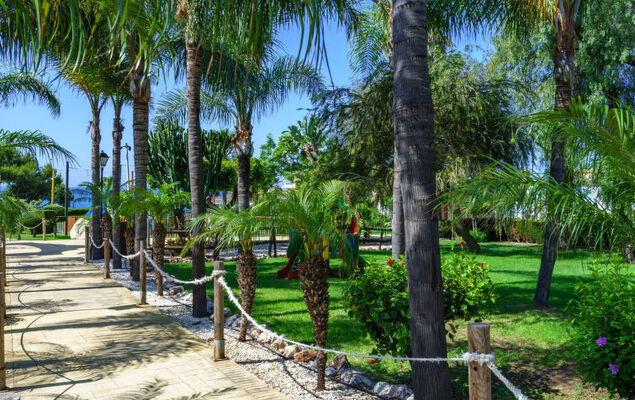 Las Buganvillas - Photo 37