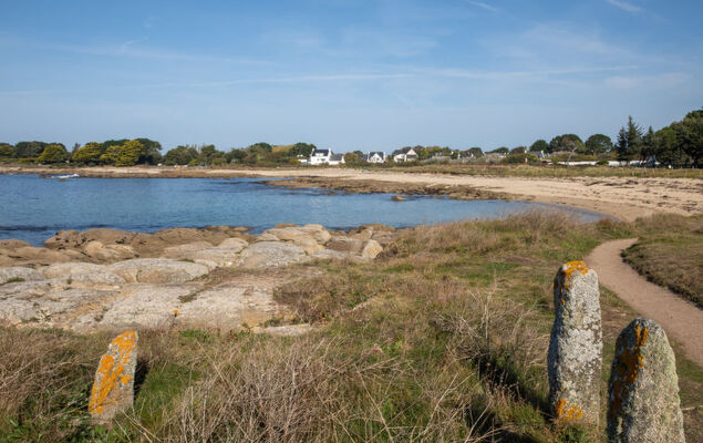 Ty Pendruc - Photo 21