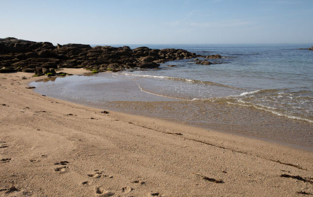 Ty Pendruc - Photo 22