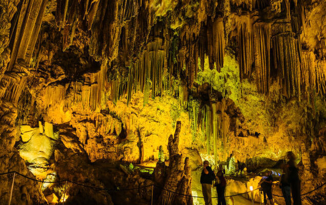 Casita Feliz - Photo 35