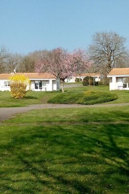 Le Domaine du Lambon - Photo 27